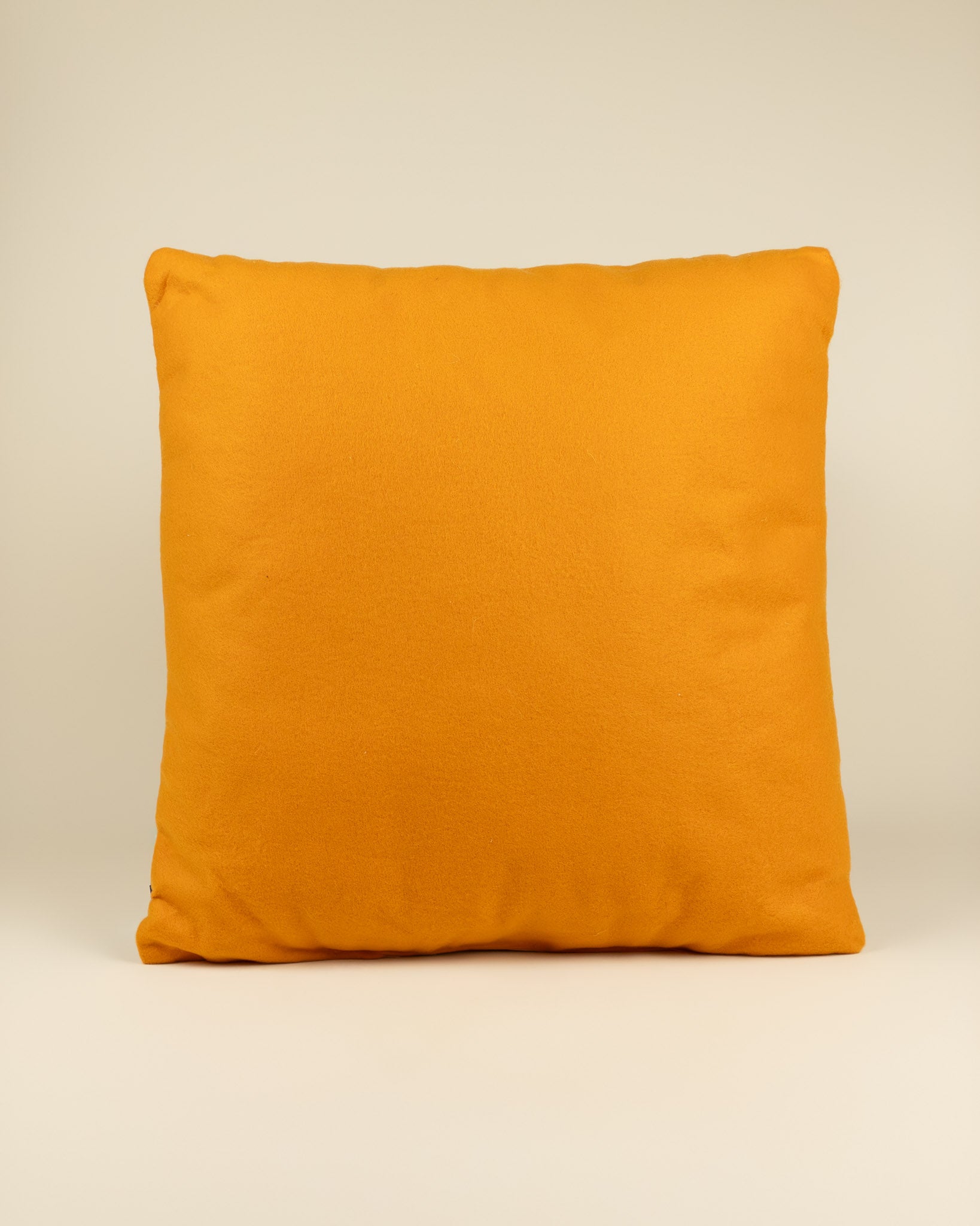 Cuscino decorativo Halloween
