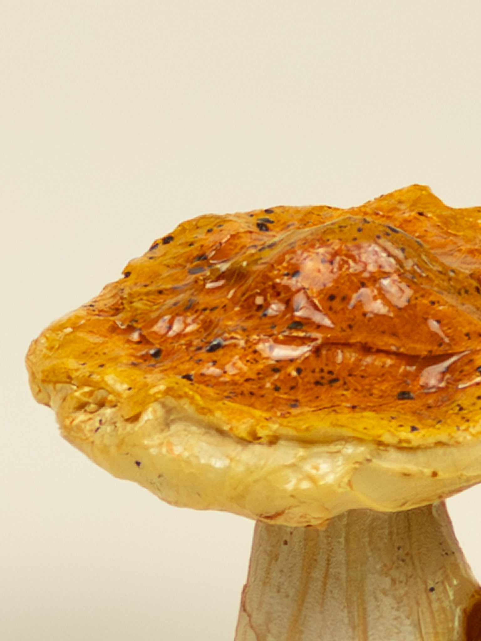 Duo funghi decorativi autunnali