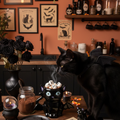 Tazza gatto pipistrello