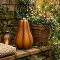 Zucca decorativa - Alta